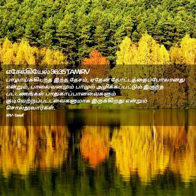 Picture 02 - எசேக்கியேல் 36:35 TAMIRV - பாழாய்க்கிடந்த - Bible Verse Picture