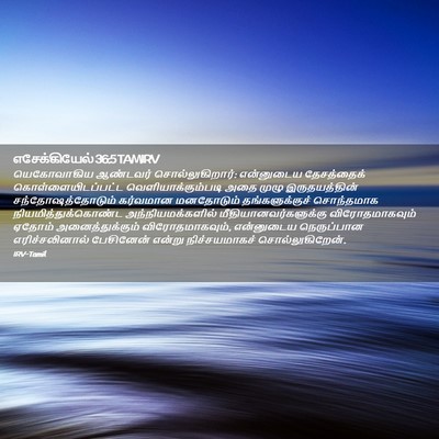 Picture 02 - எசேக்கியேல் 36:5 TAMIRV - யெகோவாகிய ஆண்டவர் - Bible Verse Picture