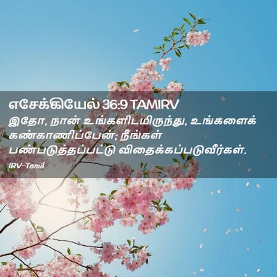 Picture 02 - எசேக்கியேல் 36:9 TAMIRV - இதோ, நான் - Bible Verse Picture