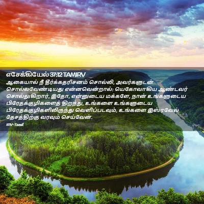 Picture 02 - எசேக்கியேல் 37:12 TAMIRV - ஆகையால் நீ - Bible Verse Picture
