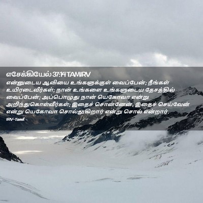 Picture 02 - எசேக்கியேல் 37:14 TAMIRV - என்னுடைய ஆவியை - Bible Verse Picture