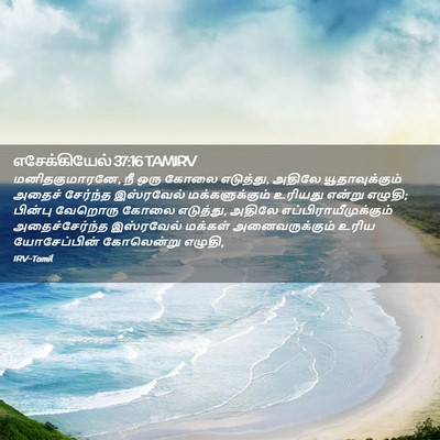 Picture 02 - எசேக்கியேல் 37:16 TAMIRV - மனிதகுமாரனே, நீ - Bible Verse Picture
