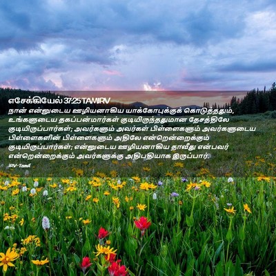 Picture 02 - எசேக்கியேல் 37:25 TAMIRV - நான் என்னுடைய - Bible Verse Picture