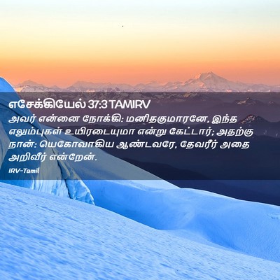 Picture 02 - எசேக்கியேல் 37:3 TAMIRV - அவர் என்னை நோக்கி: - Bible Verse Picture