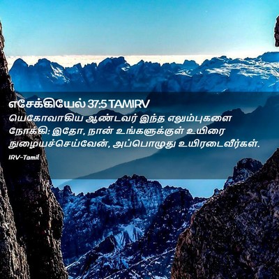 Picture 02 - எசேக்கியேல் 37:5 TAMIRV - யெகோவாகிய ஆண்டவர் - Bible Verse Picture