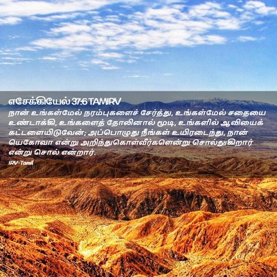 Picture 02 - எசேக்கியேல் 37:6 TAMIRV - நான் உங்கள்மேல் - Bible Verse Picture