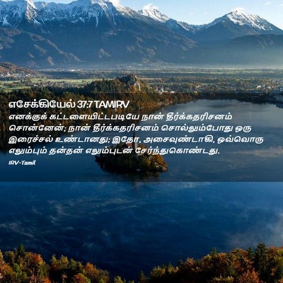 Picture 02 - எசேக்கியேல் 37:7 TAMIRV - எனக்குக் - Bible Verse Picture