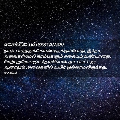 Picture 02 - எசேக்கியேல் 37:8 TAMIRV - நான் - Bible Verse Picture