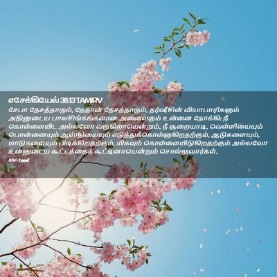 Picture 02 - எசேக்கியேல் 38:13 TAMIRV - சேபா தேசத்தாரும், - Bible Verse Picture