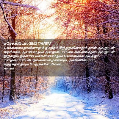 Picture 02 - எசேக்கியேல் 38:22 TAMIRV - கொள்ளைநோயினாலும் - Bible Verse Picture