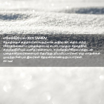 Picture 02 - எசேக்கியேல் 39:14 TAMIRV - தேசத்தைச் - Bible Verse Picture