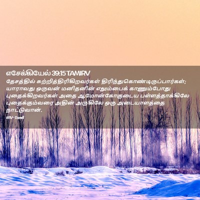 Picture 02 - எசேக்கியேல் 39:15 TAMIRV - தேசத்தில் - Bible Verse Picture