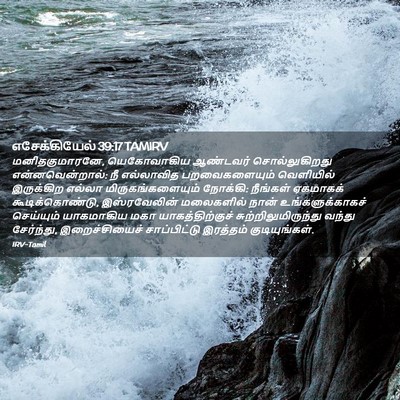 Picture 02 - எசேக்கியேல் 39:17 TAMIRV - மனிதகுமாரனே, - Bible Verse Picture