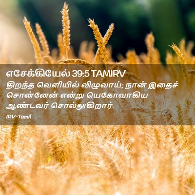 Picture 02 - எசேக்கியேல் 39:5 TAMIRV - திறந்த வெளியில் - Bible Verse Picture