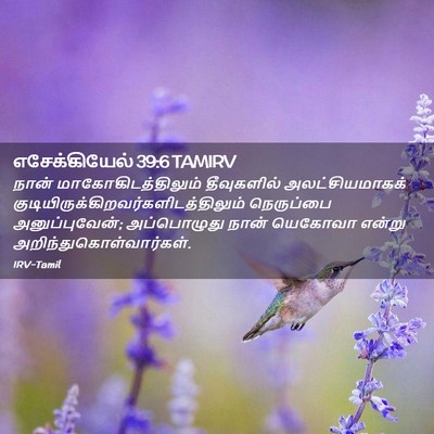 Picture 02 - எசேக்கியேல் 39:6 TAMIRV - நான் - Bible Verse Picture