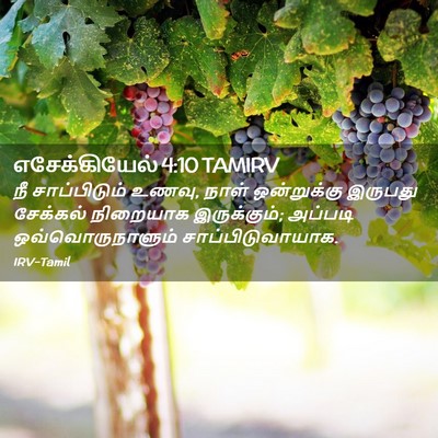 Picture 02 - எசேக்கியேல் 4:10 TAMIRV - நீ சாப்பிடும் - Bible Verse Picture