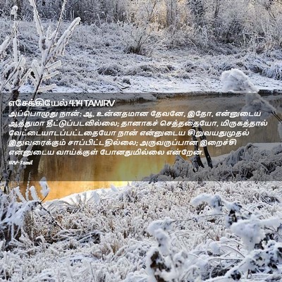 Picture 02 - எசேக்கியேல் 4:14 TAMIRV - அப்பொழுது நான்: ஆ, - Bible Verse Picture