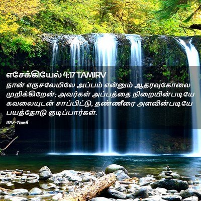 Picture 02 - எசேக்கியேல் 4:17 TAMIRV - நான் எருசலேமிலே - Bible Verse Picture