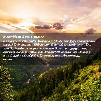 Picture 02 - எசேக்கியேல் 40:1 TAMIRV - நாங்கள் - Bible Verse Picture