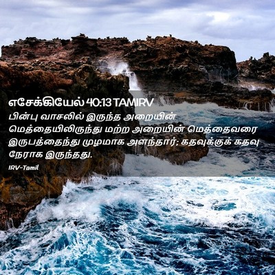 Picture 02 - எசேக்கியேல் 40:13 TAMIRV - பின்பு வாசலில் - Bible Verse Picture