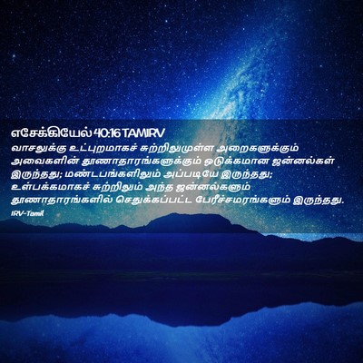 Picture 02 - எசேக்கியேல் 40:16 TAMIRV - வாசலுக்கு - Bible Verse Picture