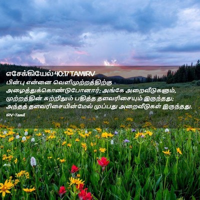 Picture 02 - எசேக்கியேல் 40:17 TAMIRV - பின்பு என்னை - Bible Verse Picture