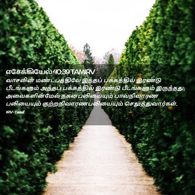 Picture 02 - எசேக்கியேல் 40:39 TAMIRV - வாசலின் - Bible Verse Picture