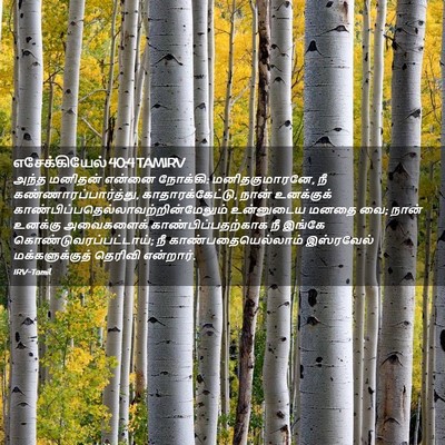 Picture 02 - எசேக்கியேல் 40:4 TAMIRV - அந்த மனிதன் என்னை - Bible Verse Picture