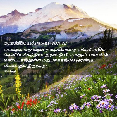 Picture 02 - எசேக்கியேல் 40:40 TAMIRV -  - Bible Verse Picture