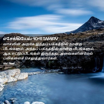 Picture 02 - எசேக்கியேல் 40:41 TAMIRV - வாசலின் அருகே - Bible Verse Picture