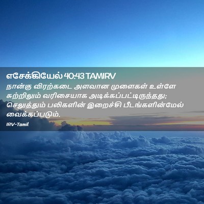 Picture 02 - எசேக்கியேல் 40:43 TAMIRV - நான்கு விரற்கடை - Bible Verse Picture