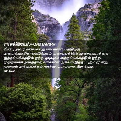 Picture 02 - எசேக்கியேல் 40:48 TAMIRV - பின்பு அவர் என்னை - Bible Verse Picture