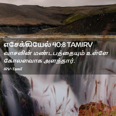 Picture 02 - எசேக்கியேல் 40:8 TAMIRV - வாசலின் - Bible Verse Picture