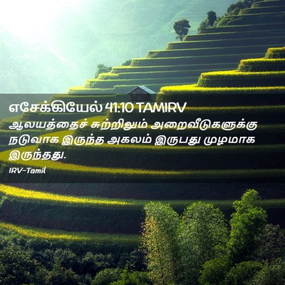 Picture 02 - எசேக்கியேல் 41:10 TAMIRV - ஆலயத்தைச் - Bible Verse Picture
