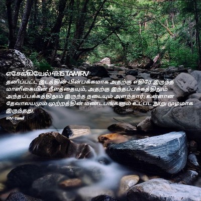 Picture 02 - எசேக்கியேல் 41:15 TAMIRV - தனிப்பட்ட - Bible Verse Picture