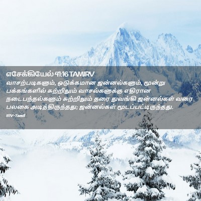 Picture 02 - எசேக்கியேல் 41:16 TAMIRV - வாசற்படிகளும், - Bible Verse Picture