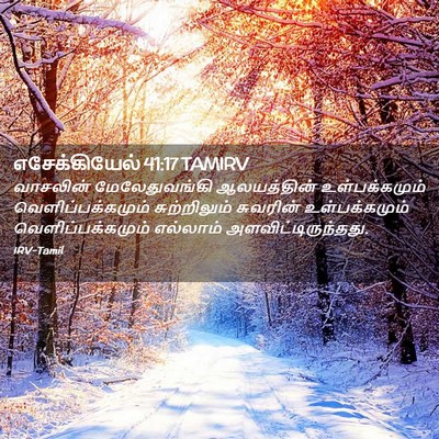 Picture 02 - எசேக்கியேல் 41:17 TAMIRV - வாசலின் - Bible Verse Picture