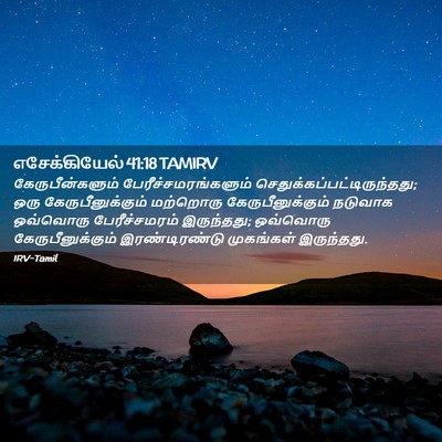 Picture 02 - எசேக்கியேல் 41:18 TAMIRV - கேருபீன்களும் - Bible Verse Picture