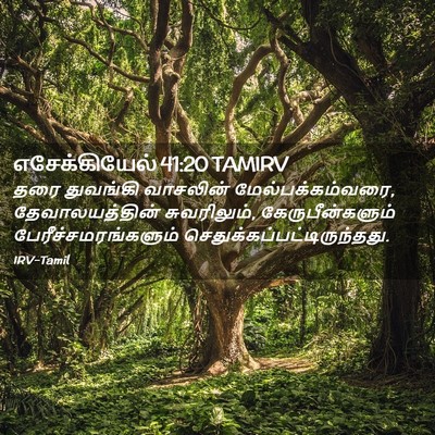 Picture 02 - எசேக்கியேல் 41:20 TAMIRV - தரை துவங்கி - Bible Verse Picture