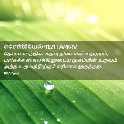 Picture 02 - எசேக்கியேல் 41:21 TAMIRV - தேவாலயத்தின் கதவு - Bible Verse Picture