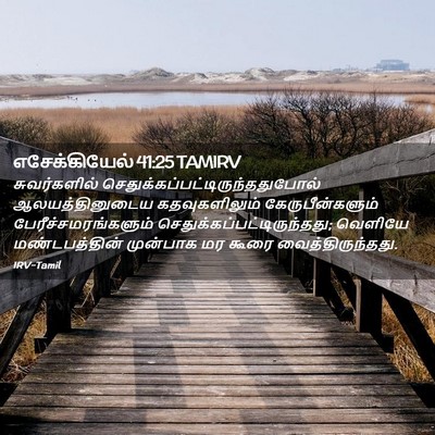 Picture 02 - எசேக்கியேல் 41:25 TAMIRV - சுவர்களில் - Bible Verse Picture