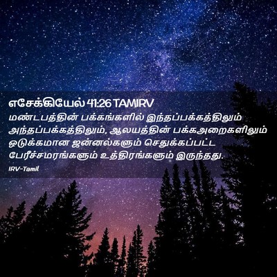 Picture 02 - எசேக்கியேல் 41:26 TAMIRV - மண்டபத்தின் - Bible Verse Picture