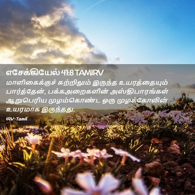Picture 02 - எசேக்கியேல் 41:8 TAMIRV - மாளிகைக்குச் - Bible Verse Picture