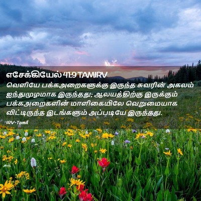 Picture 02 - எசேக்கியேல் 41:9 TAMIRV - வெளியே - Bible Verse Picture