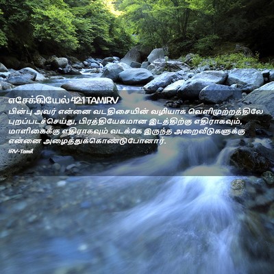 Picture 02 - எசேக்கியேல் 42:1 TAMIRV - பின்பு அவர் என்னை - Bible Verse Picture
