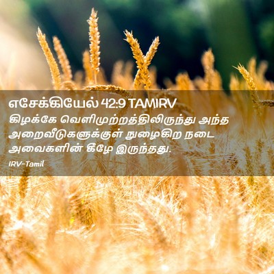 Picture 02 - எசேக்கியேல் 42:9 TAMIRV - கிழக்கே - Bible Verse Picture