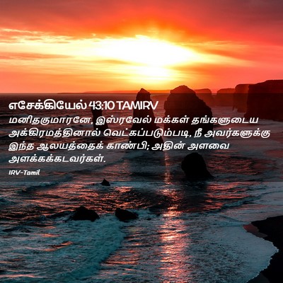 Picture 02 - எசேக்கியேல் 43:10 TAMIRV - மனிதகுமாரனே, - Bible Verse Picture