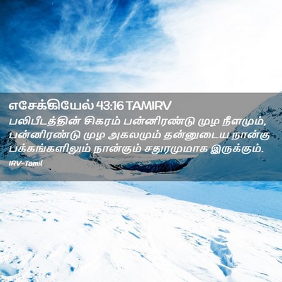 Picture 02 - எசேக்கியேல் 43:16 TAMIRV - பலிபீடத்தின் - Bible Verse Picture