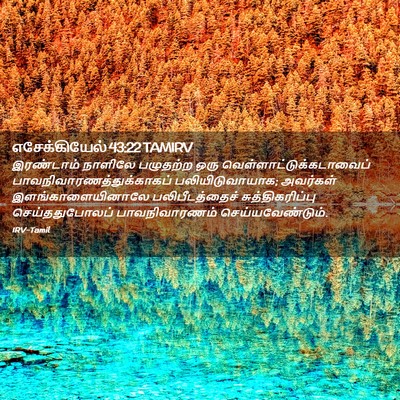 Picture 02 - எசேக்கியேல் 43:22 TAMIRV - இரண்டாம் நாளிலே - Bible Verse Picture