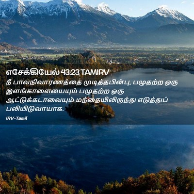 Picture 02 - எசேக்கியேல் 43:23 TAMIRV - நீ பாவநிவாரணத்தை - Bible Verse Picture